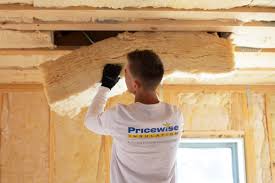 Best Eco-Friendly or Green Insulation Solutions  in Lansdowne, VA