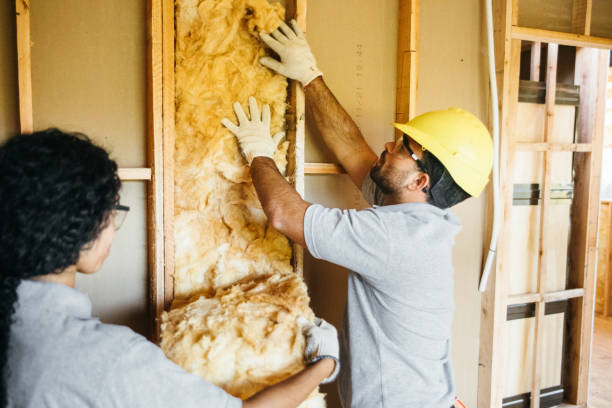 Best Wall Insulation Installation  in Lansdowne, VA